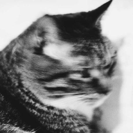 LiteMCP GitHub avatar