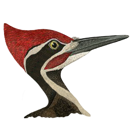 gravatar for woodpecker-appstore