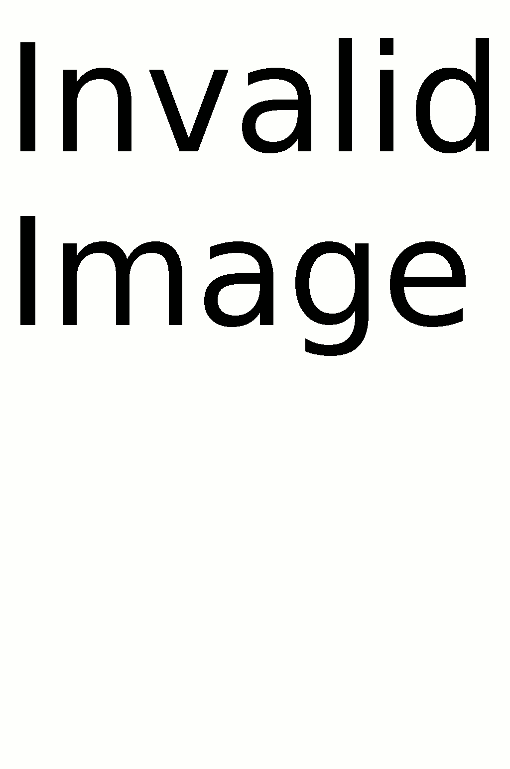 invalid_image.png