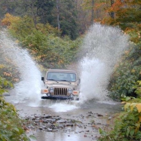 wranglerdriver avatar