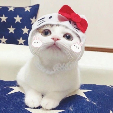 wuhobin profile avatar