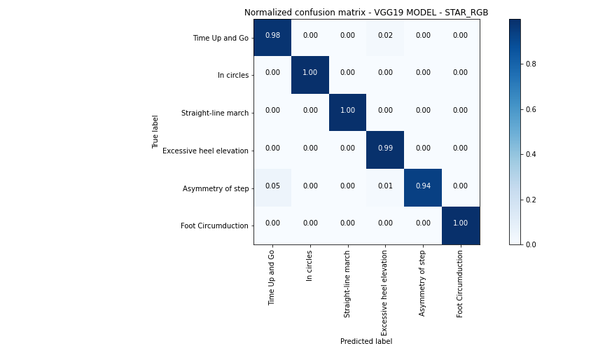 Normalized Confusion Matrix - VGG19 MODEL RETREINED- STAR_RGB.png