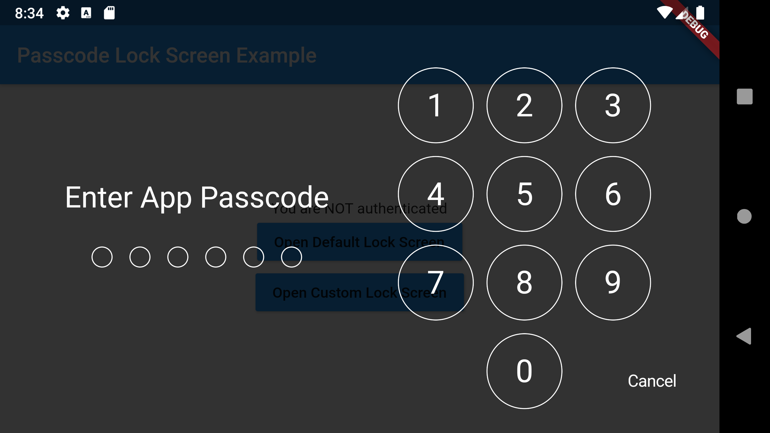 passcode-screen-default-lanscape.png