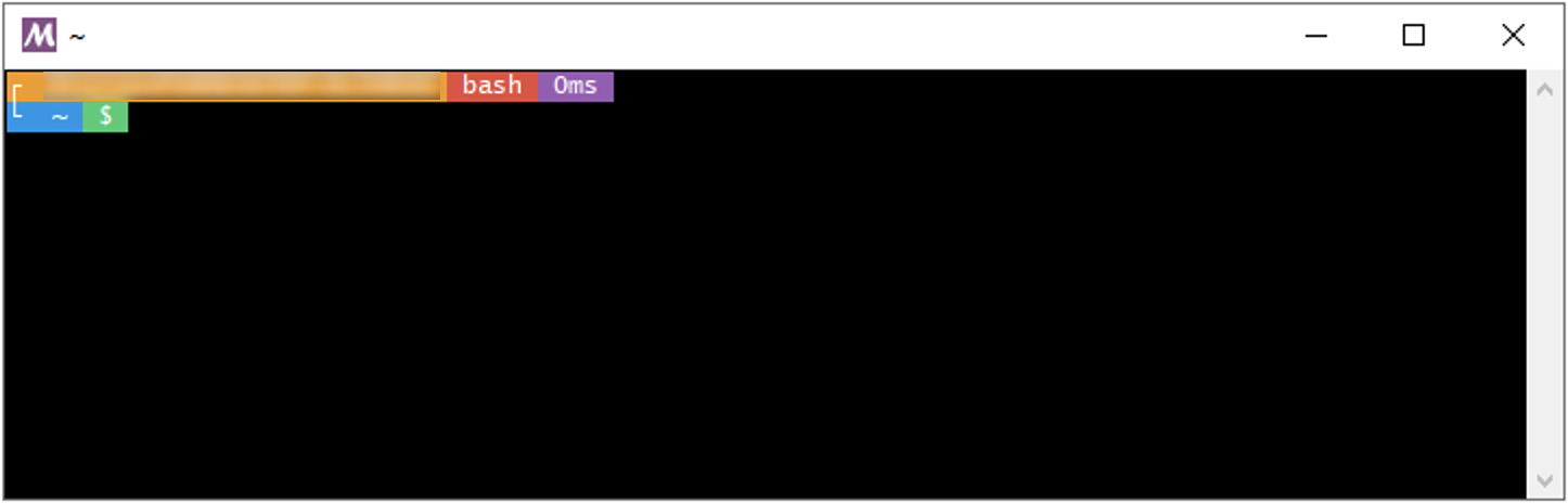 Windows-MSYS-bash.png