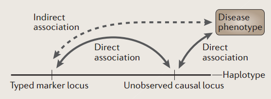 Types of population association study