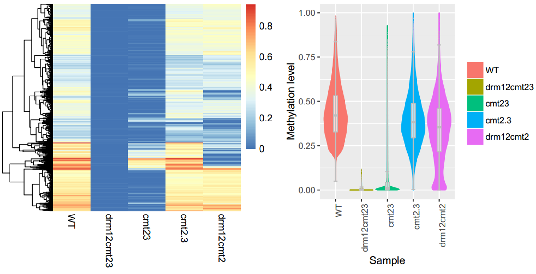 MethHeatmap_hist.png