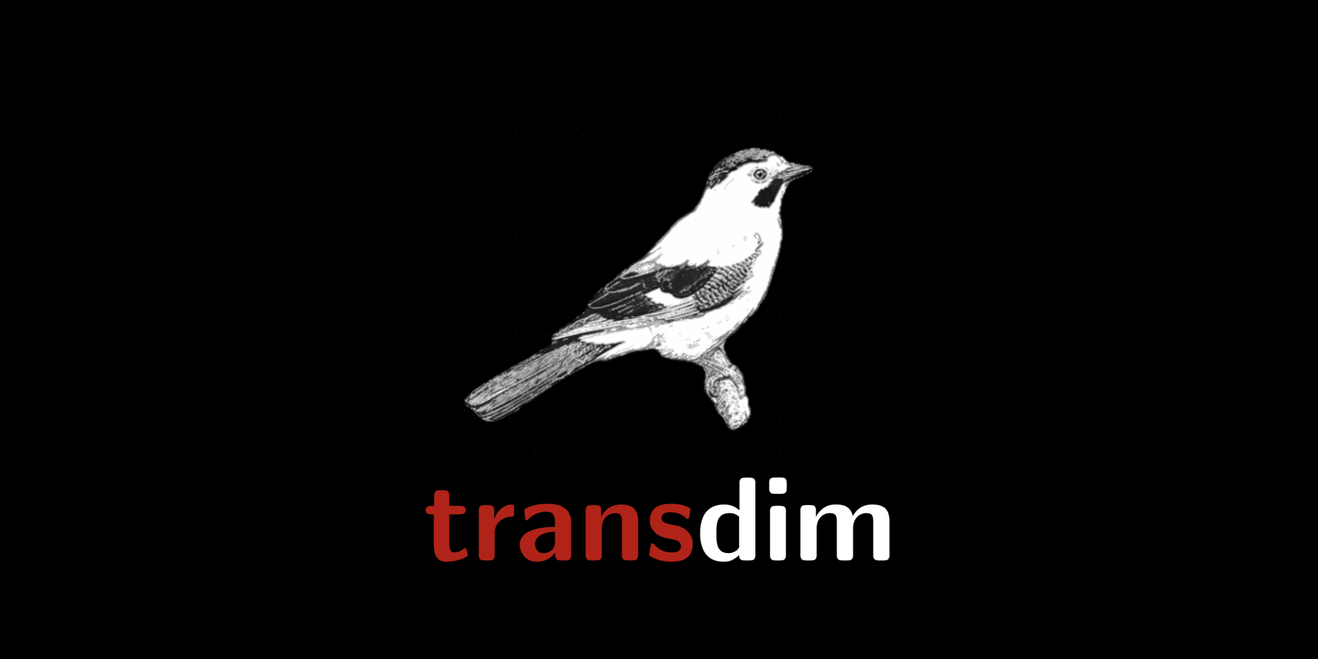 transdim_logo_large.png