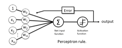 perceptron-figure.png