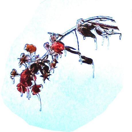 yakovkinii