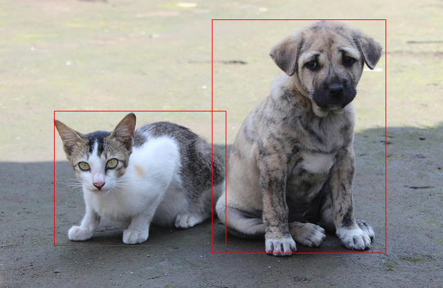 cat_and_dog_detection.jpg