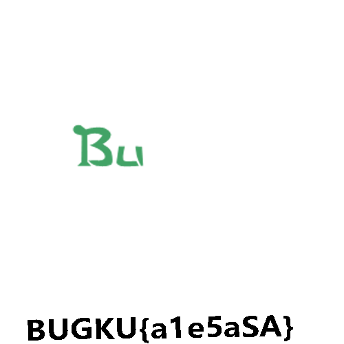 bugku