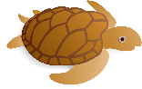 turtle-small.png