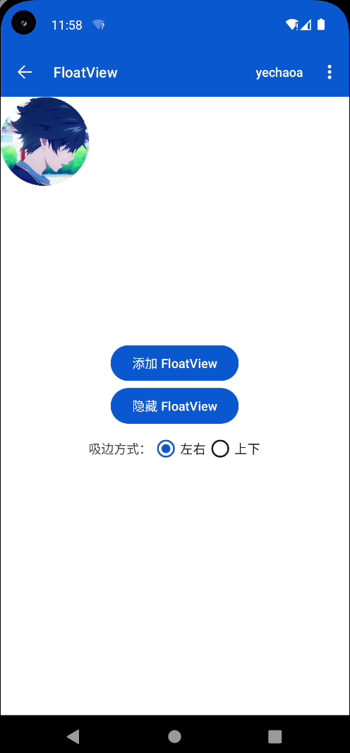 float_view.gif