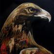 yerry262 avatar