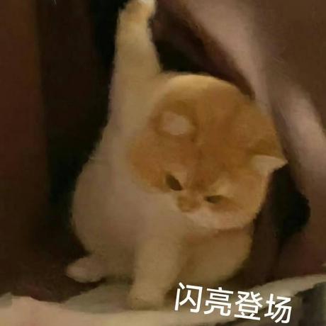 WeChat Official Account GitHub avatar