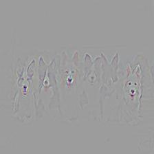 multiple_dogs-densenet121-gb.jpg