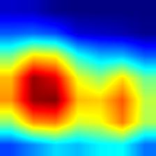 multiple_dogs-densenet121-heatmap.jpg