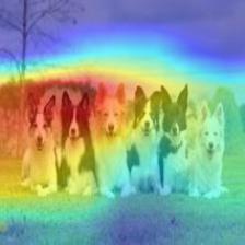 multiple_dogs-resnet101-cam.jpg