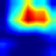 pic1-densenet121-heatmap.jpg