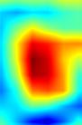 pic1-retinanet-head.cls_subnet.2-heatmap++.jpg