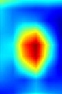 pic1-retinanet-head.cls_subnet.7-heatmap++.jpg