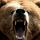 yoonbigbear