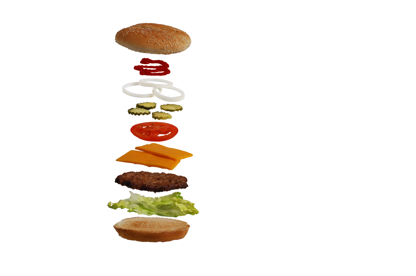 burger_loose_scaled_obj_as_seen_in_layers_but_flat.png