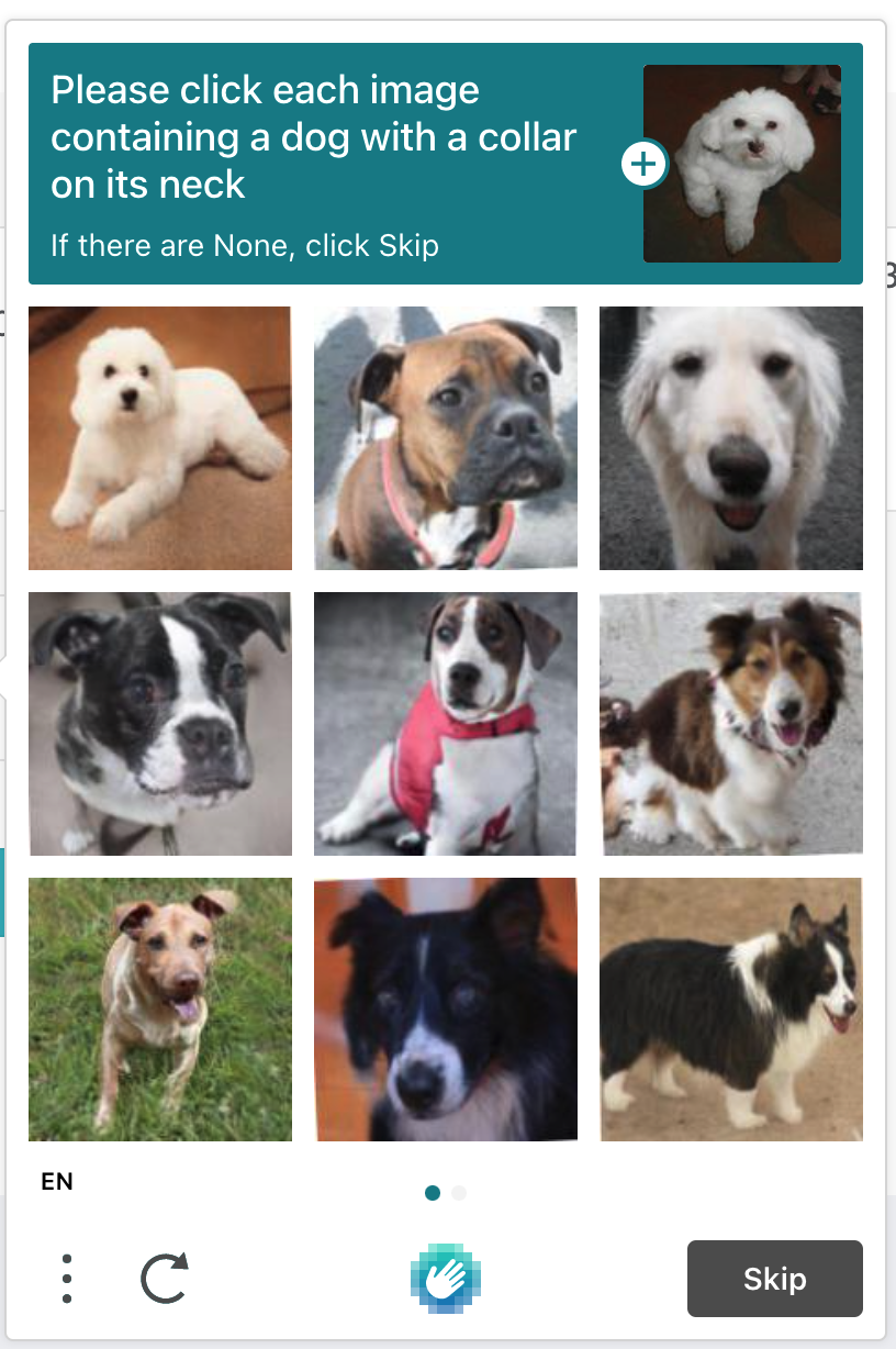 Recaptcha - choose image of dogs with a collar on