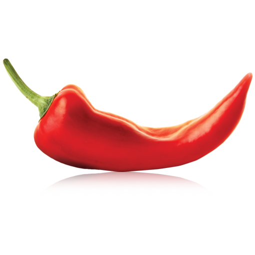 spicy-logo-square.png