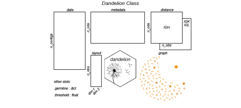 dandelion_class2.png