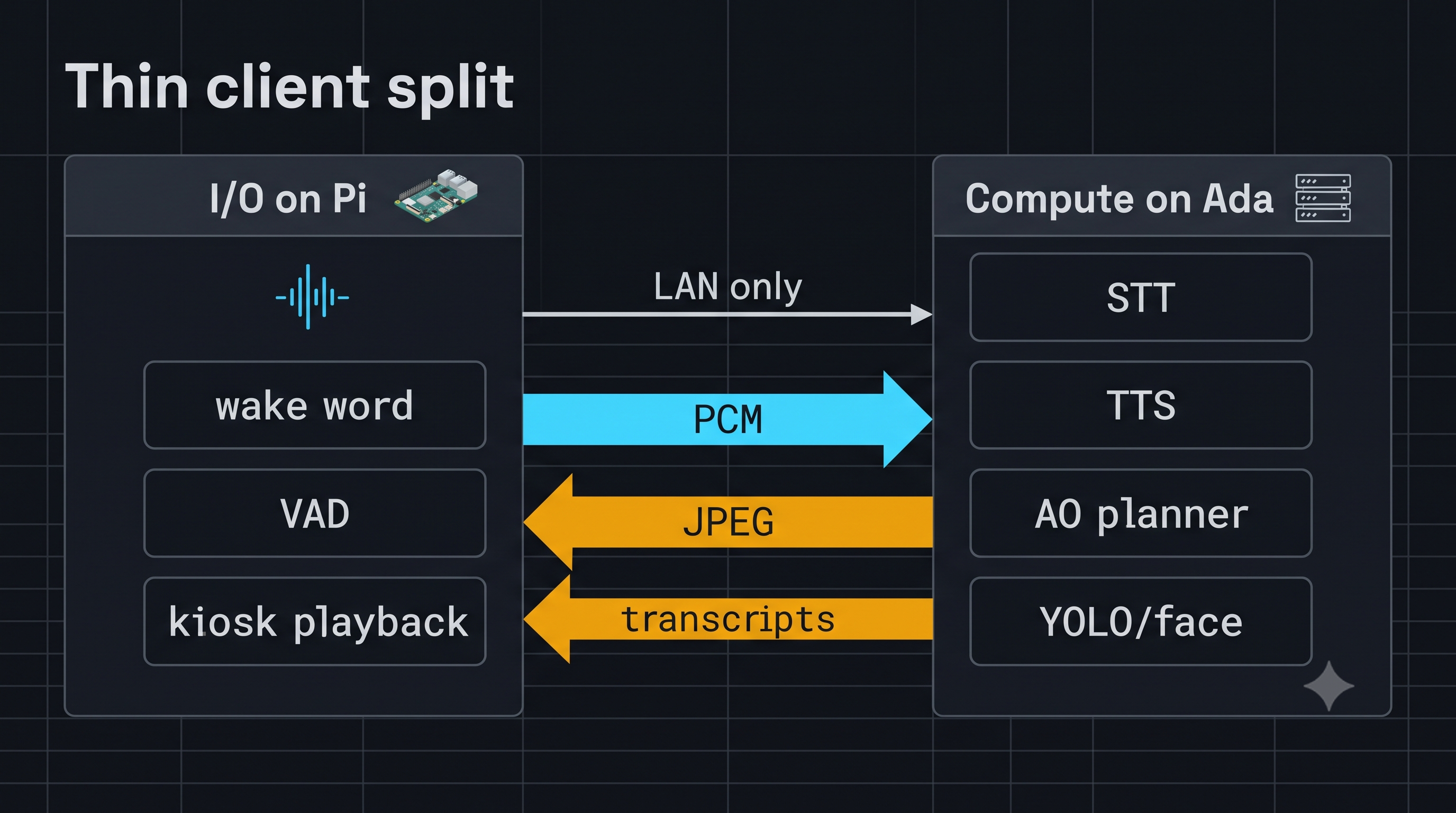 Speech vs brain split