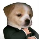 zsvd profile avatar