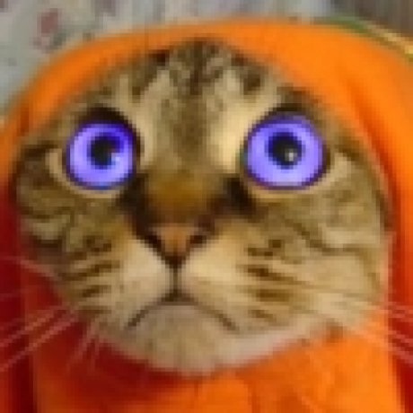zxcat
